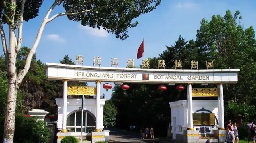 黑龙江省森林植物园