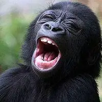 能让别人笑喷的头像微信搞笑头像大全