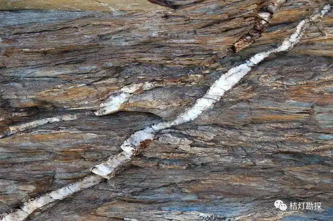 石英脉(图源@dave fischer)充填物质有外来的,有自围岩因压溶作用析出