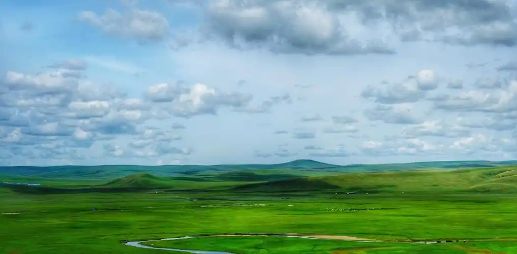 只为那传说中美丽的草原