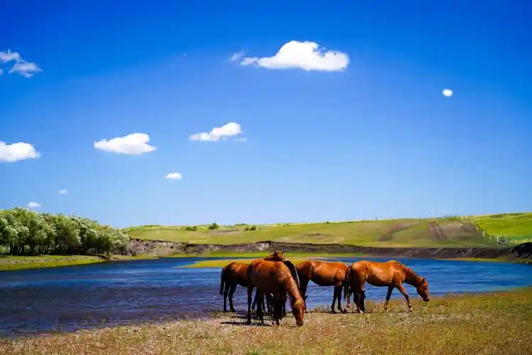 内蒙古呼和浩特旅游攻略自由行花费多少 省钱攻略_草原_文化_前往