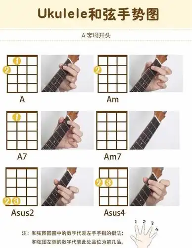 怎么样学习尤克里里最快