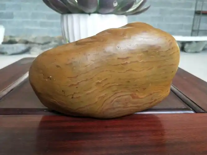 【广西德保县观赏石文化传播平台拍卖会】(第一期)公告