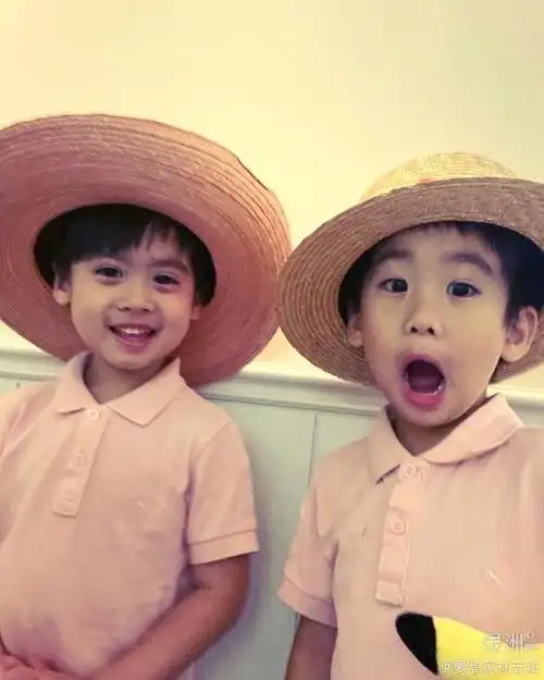 林志颖晒双胞胎儿子近照萌娃头戴草帽笑容甜