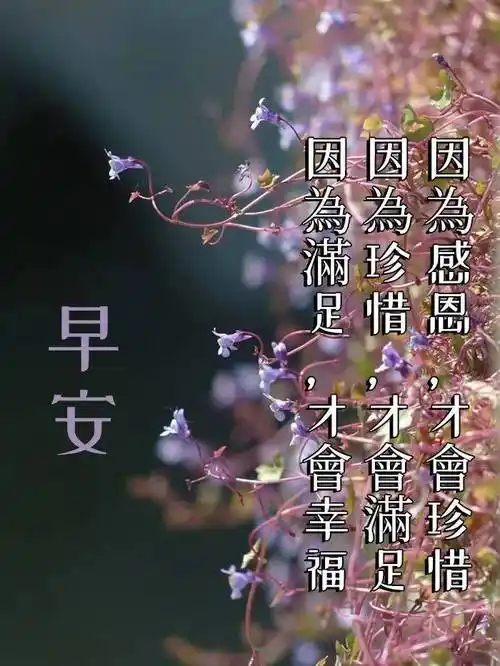 9张最有创意好看的早安早上好图片带字 2023唯美夏天早安问候祝福图片