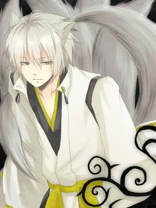 壁纸7878御狐神双炽妖狐仆ss877期