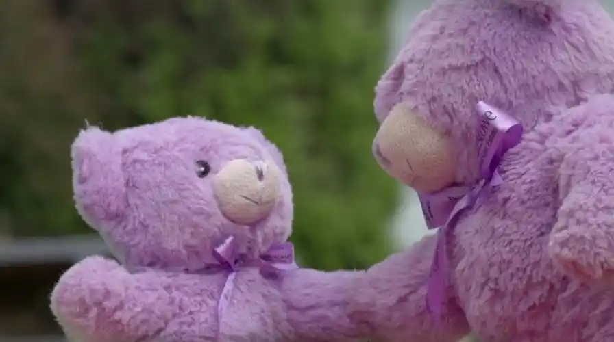 bear】薰衣草小熊 s01e03 - left luggage【1280p】治愈系紫色小熊在