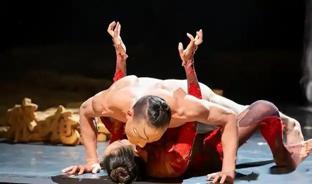 杨丽萍新舞蹈引争议与男舞伴毫不避嫌舞蹈场面尺度大太尴尬