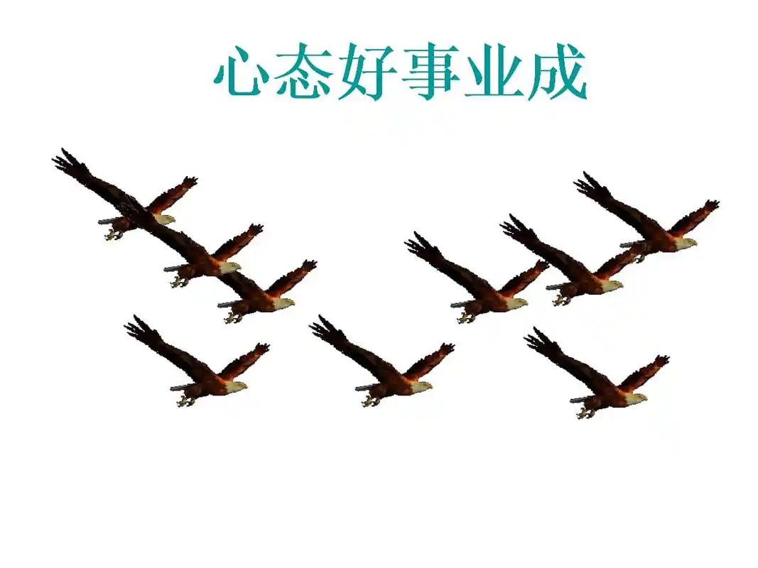 保持良好心态成就健康人生模板.pptx 52页