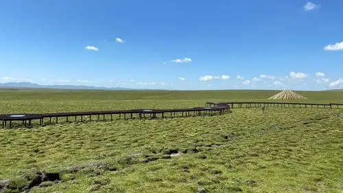 写美篇美仁大草原位于甘肃省合作市东,这里是青藏高原特有的高山草甸