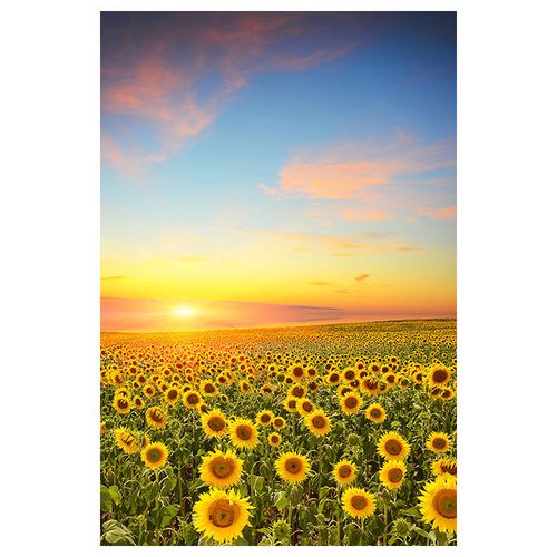 向日葵风景画太阳花玄关墙贴画客厅装饰画花卉壁画海报自粘定制