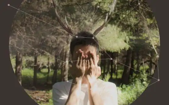 【慕寒】 生日快乐 长长久久是岁慕天寒