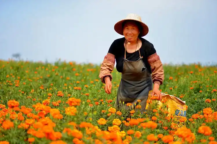 【美在劳动中摄影图片】风光摄影_太平洋电脑网摄影部落