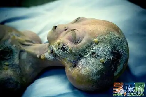 世界上有没有发现外星人存在的证据