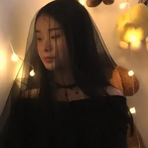 黑色婚纱头纱新娘头纱头饰超仙森系网红拍照道具复古结婚简约短款