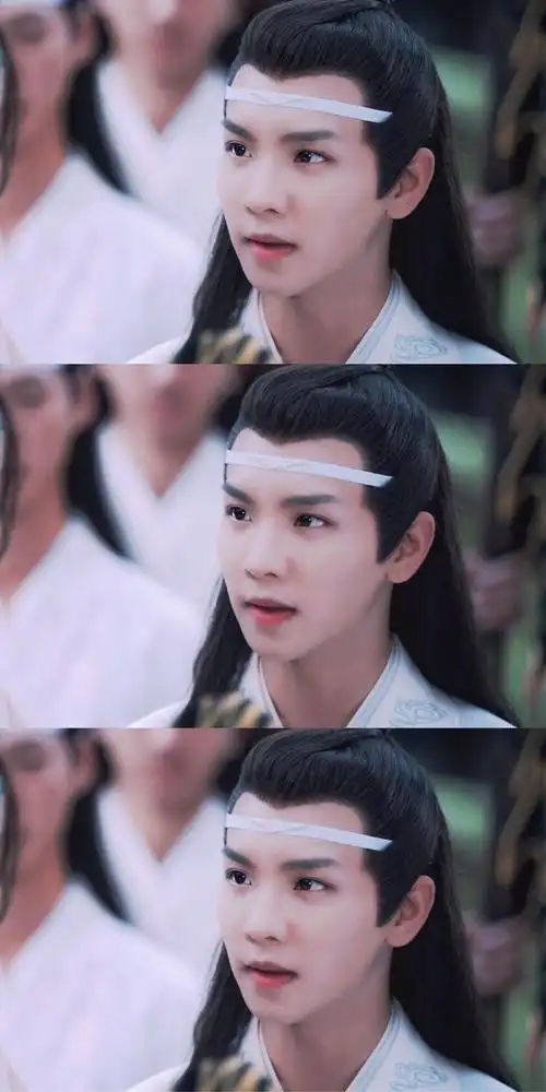 蓝思追陈情令 郑繁星