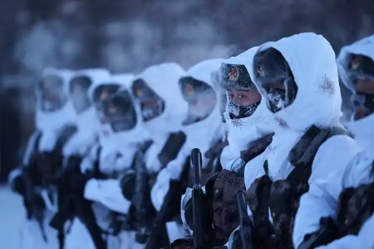 北极村哨兵:挺立在风雪中的"极地白杨"【4】