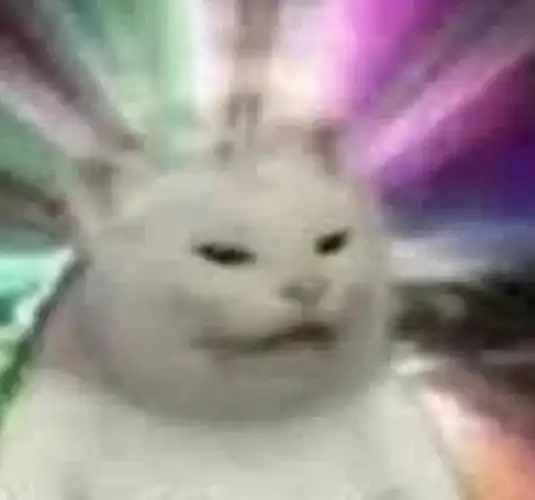 一些糊糊小猫表情包