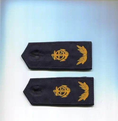 这个肩章是哪个部门的?