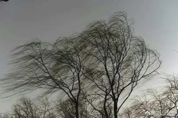 8℃,今天大反转!成都人注意,降温 降雨 刮风,可能还要打雷!