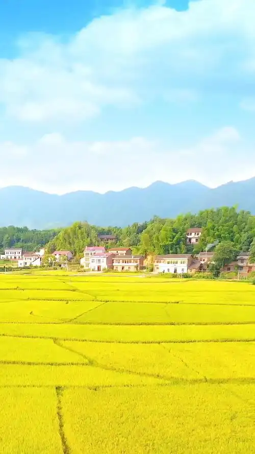 田野能躲过这一波的疫情吗农村生活乡愁记忆乡野田间家乡风景美如画