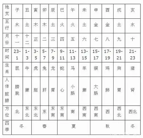 12地支对应关系图