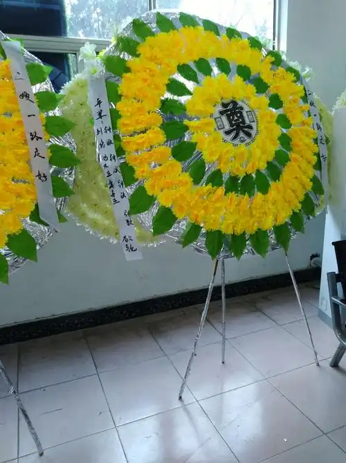 沉痛悼念宁瑞诺老人逝世纪念相册 2019.01.03于合肥