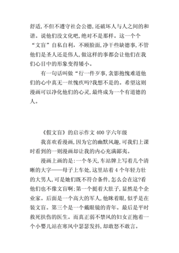 《假文盲》的启示作文400字六年级.docx