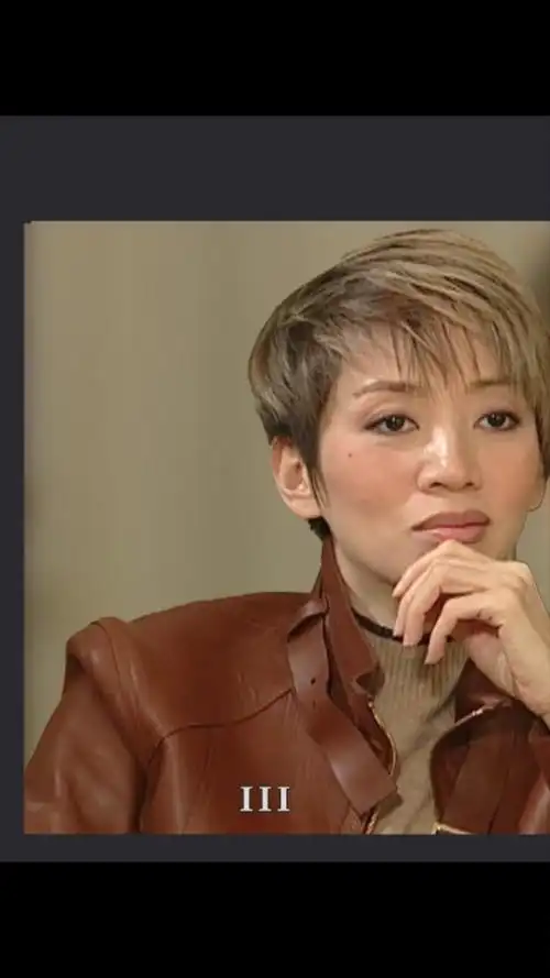 梅艳芳##名人面对面##名人 档案