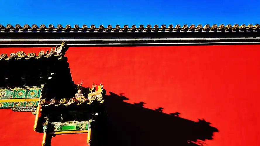 红墙碧瓦与蓝天构成三原色的对比,光影中的吉兽彰显着皇家传统文化的