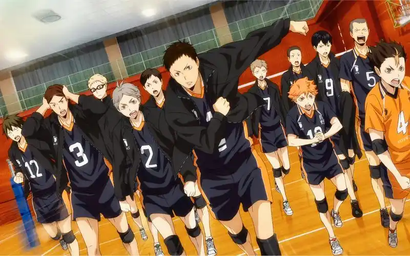 【排球少年-乌野向】他们的故事永不落幕