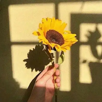 黄颜色头像唯美背景图 黄颜色背景头像