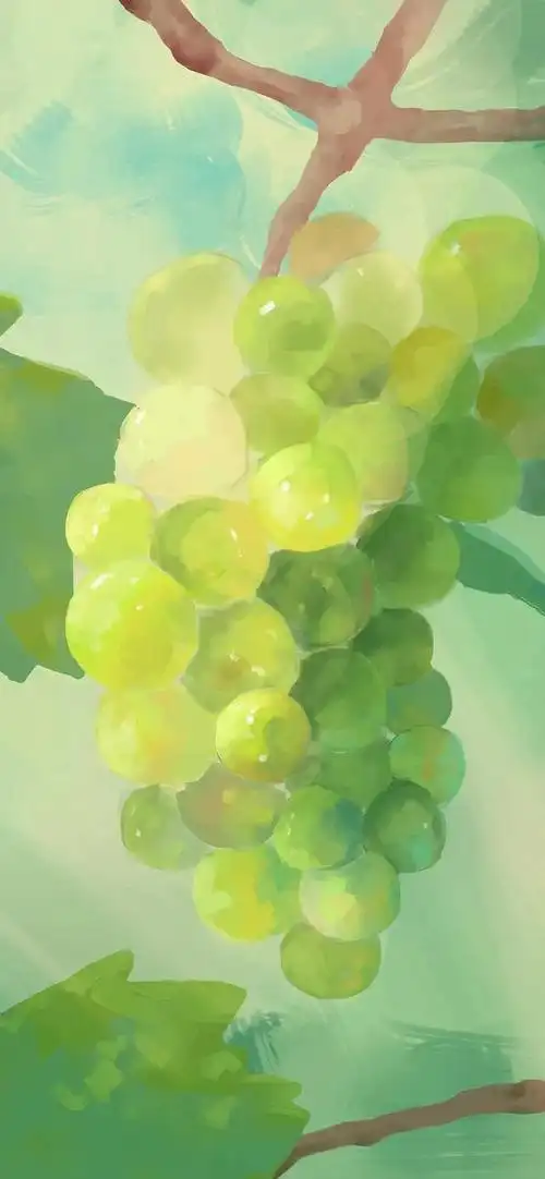 夏日养眼小清新壁纸