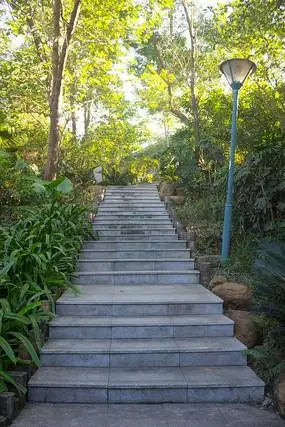 公园登山道路阶梯