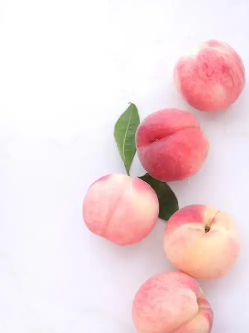 桃子水蜜桃粉色蜜桃水果