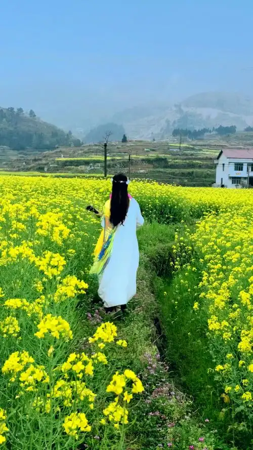 回眸一笑醉春风