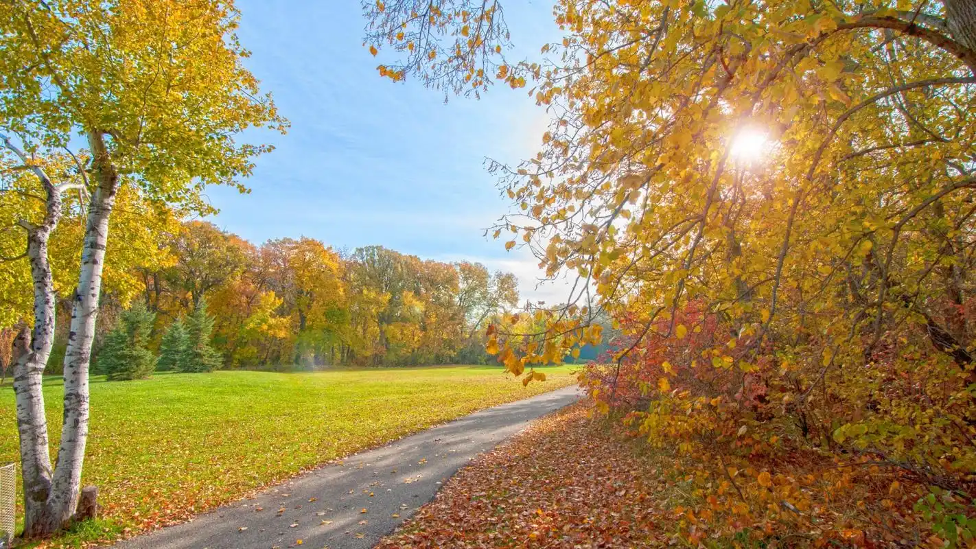 人虽是好人,但脾气古怪,性格孤僻,不讨人喜欢的3大属相