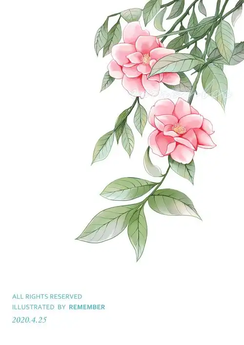 花 板绘插画 有过程