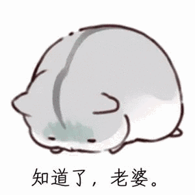 哄老婆专用仓鼠表情包合集老婆大人对不起