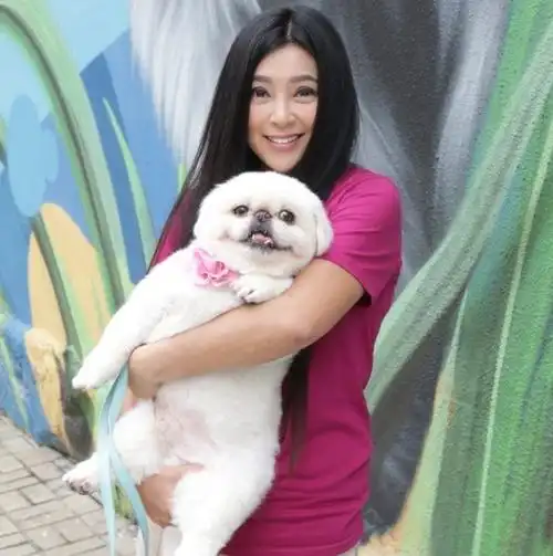 50岁傅明宪近照面容变化大本人强调没整容也不会花时间修图