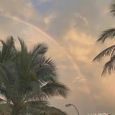 微博微信背景图