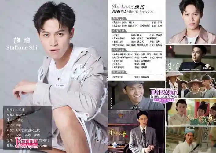 施琅简历欣赏新晋小鲜肉见组资料制作技巧案例