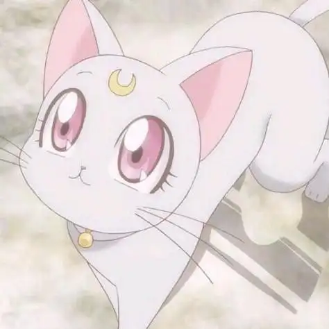 美少女战士情侣头像猫咪cp露娜亚提密斯女儿安娜灰色小猫