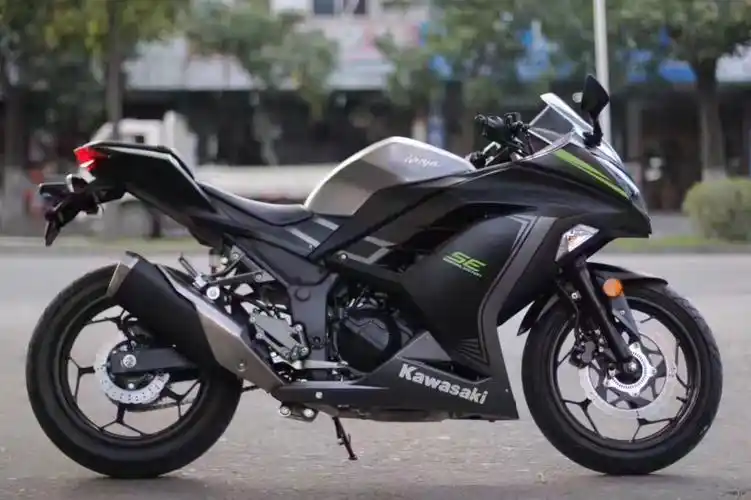 16年 川崎小忍者300