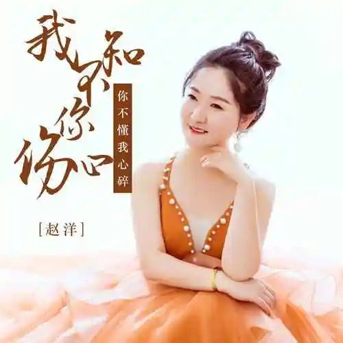 我不知你伤心你不懂我心碎_赵洋_高音质在线试听_我不知你伤心你不懂