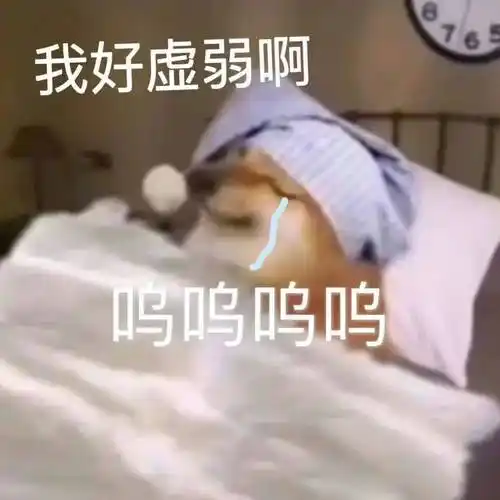 bt污污表情包_公众_文章_熊猫头