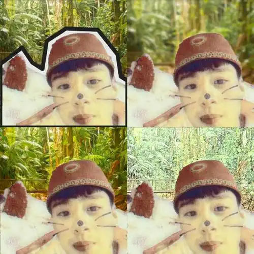 什么相机软件能拍一张就是四宫格的就是一张照片分成四宫格