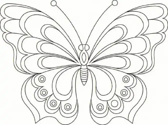 幼儿园简笔画涂色素材