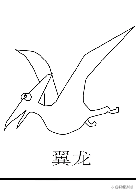 翼龙,在古代的天空飞翔