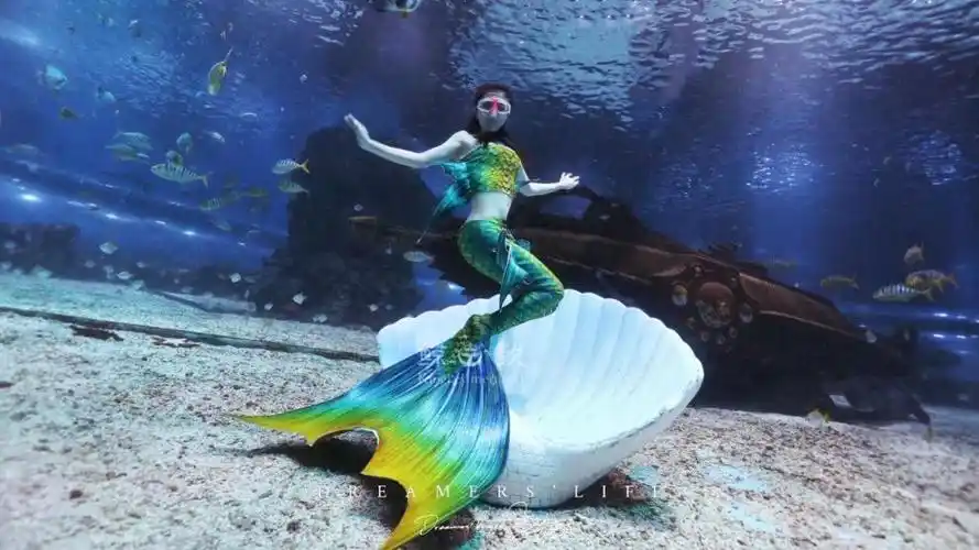 抖音美人鱼尾巴 鲸歌美人鱼尾巴高品质自由潜水拍照泳衣仿硅胶尾经营